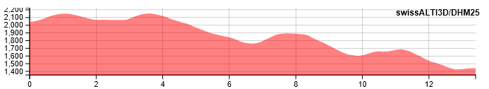 profile