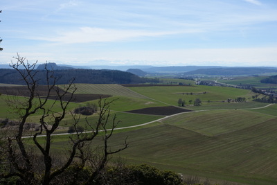 DSC02974.JPG