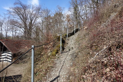 DSC02999.JPG