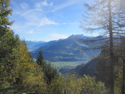 IMG_3788.JPG