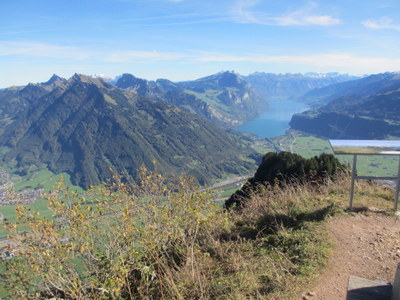 IMG_3795.JPG