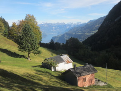 IMG_3807.JPG