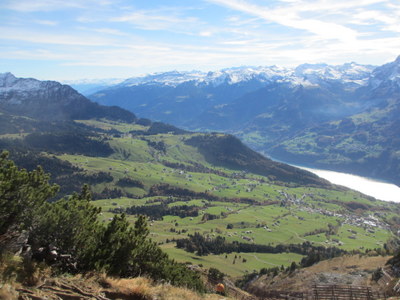 IMG_8967.JPG