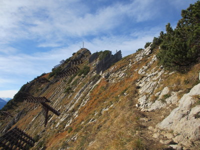 IMG_8968.JPG