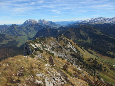 IMG_8977.JPG