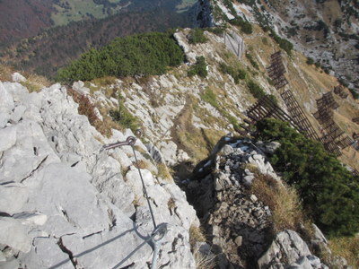 IMG_8985.JPG
