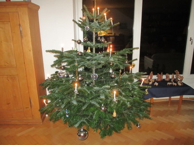 01-Baum.jpg