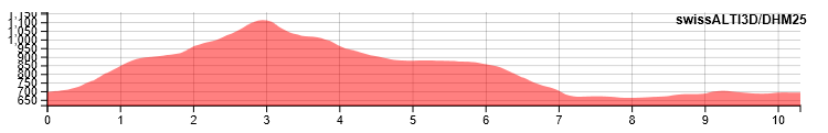 profile